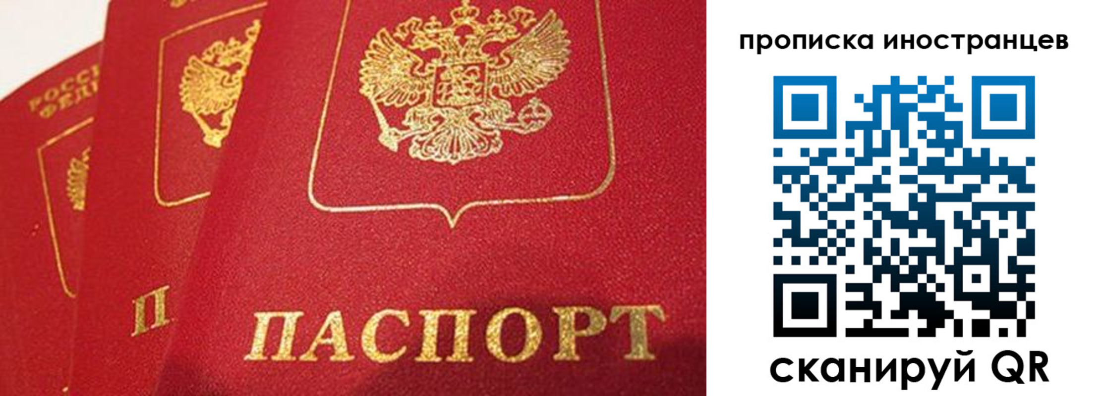 прописка поиск в Мурманской области